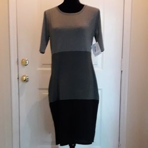 🌷Host Pick🌷NWT LLR Julia Colorblock Dress